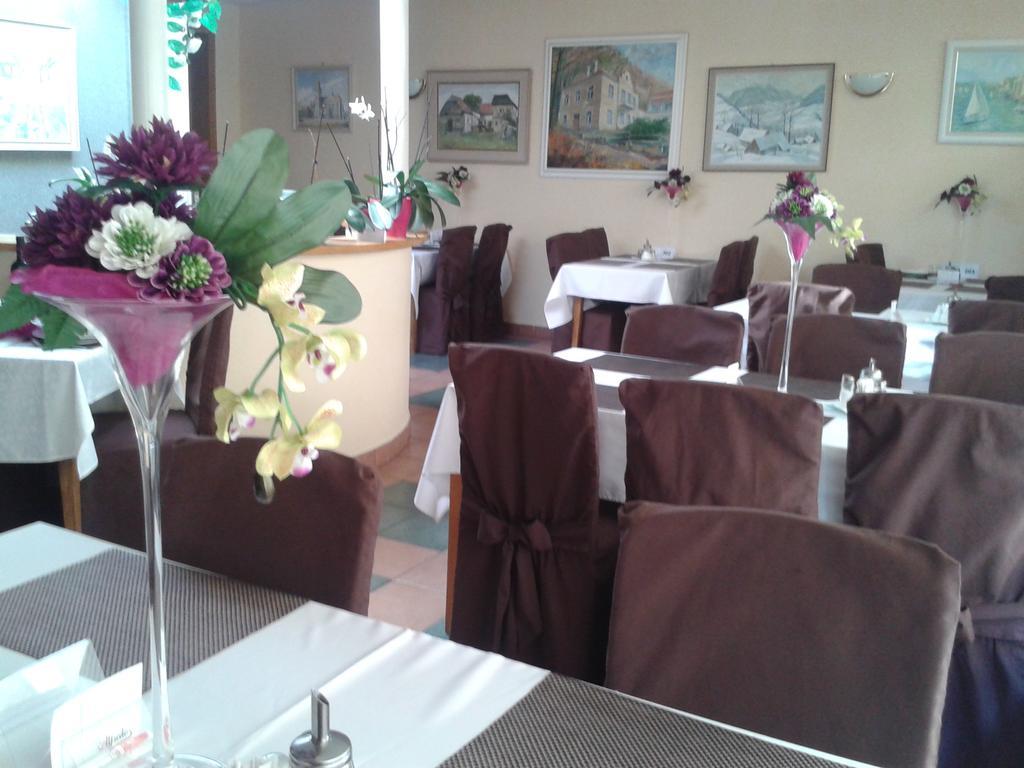 Hotel Vila Anna Trenčianske Teplice Dış mekan fotoğraf
